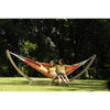 Barbados Papaya Hammock - Heritage Gardens UK Online Garden Centre