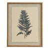 Beech Fern On Linen In Beaded Frame - Heritage Gardens UK Online Garden Centre