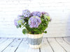 Blue Hydrangea - Heritage Gardens UK Online Garden Centre