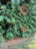 Clematis Garden Art - Heritage Gardens UK Online Garden Centre