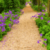 Golden Gravel Chippings - Heritage Gardens UK Online Garden Centre