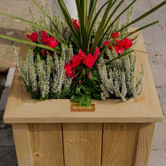 Heritage Square Wooden Planter - Pack of Two