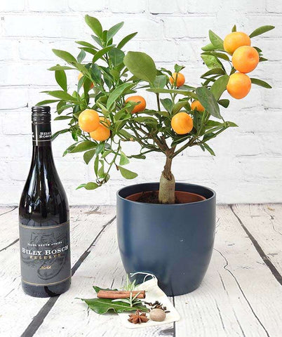 Mulled Wine Set - Heritage Gardens UK Online Garden Centre