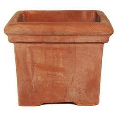Terracotta Baytree Square Pot