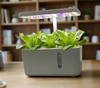 5 Pod Smart Garden Mini - Heritage Gardens UK Online Garden Centre