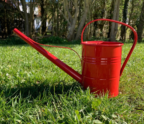 Red Watering Can - 1.5 Litres