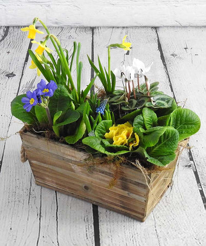 Easter Planter
