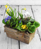 Easter Planter