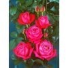 Birthday Boy Bush Rose - Heritage Gardens UK Online Garden Centre