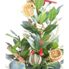 Christmas Bay - Christmas Bay - Christmas Trees
