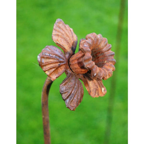 Daffodil Feature Plant Pin Support 5ft - Heritage Gardens UK Online Garden Centre