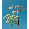 Decorative Cow Parsley Plant Stake - Heritage Gardens UK Online Garden Centre