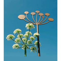 Decorative Cow Parsley Plant Stake