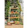 Florenity Verdi Plant Shelf - Pot & Plant Shelf Stands