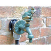 Frog Ornamental Verdigris Garden Tap - Garden Taps