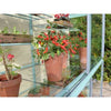 Hampton - D 6' 5'' Mini Greenhouse - Heritage Gardens UK Online Garden Centre