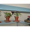 Hampton - D 6' 5'' Mini Greenhouse - Heritage Gardens UK Online Garden Centre