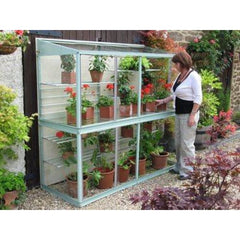 Hampton-D 6' 5'' Mini Greenhouse