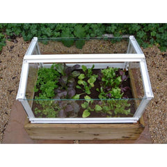 Herb and Salad Cloche Planter