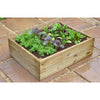 Herb and Salad Cloche Planter - Heritage Gardens UK Online Garden Centre
