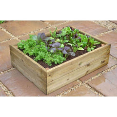 Herb and Salad Cloche Planter