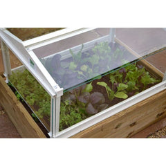 Herb and Salad Cloche Planter