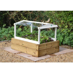 Herb and Salad Cloche Planter