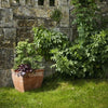 Heritage Duchess Cube Pot Planter - 2 sizes - Heritage Gardens UK Online Garden Centre