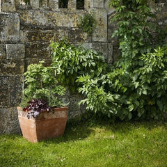 Heritage Duchess Cube Pot Planter - 2 sizes