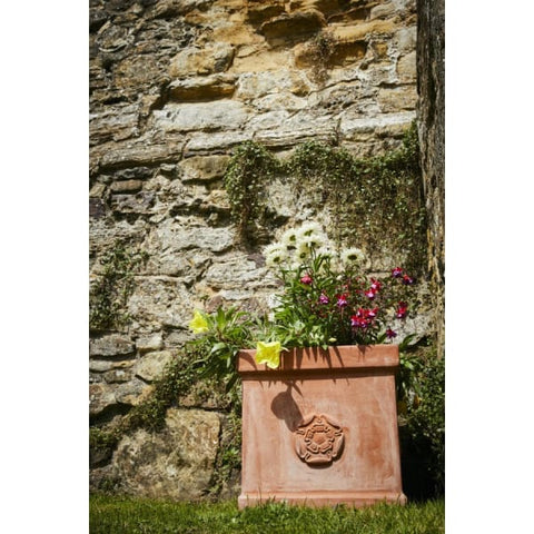 Heritage Rose Box Pot Planter - 2 sizes - Garden Pots
