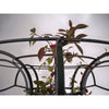 Large Tuteur - Heritage Gardens UK Online Garden Centre