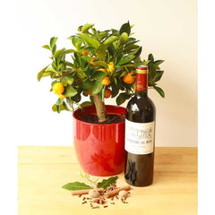 Mulled Wine Set