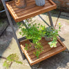 Rowlinson Alderley Plant Ladder - Large - Rowlinson Alderley Plant Ladder - Large - Plant Ladders