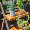 Rowlinson Alderley Plant Ladder - Small - Heritage Gardens UK Online Garden Centre
