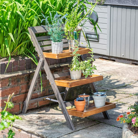 Rowlinson Alderley Plant Ladder - Small - Heritage Gardens UK Online Garden Centre