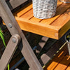 Rowlinson Alderley Plant Ladder - Small - Heritage Gardens UK Online Garden Centre