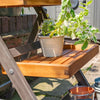Rowlinson Alderley Plant Ladder - Small - Heritage Gardens UK Online Garden Centre