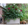 Rowlinson Rectangular Wooden Planter - Heritage Gardens UK Online Garden Centre