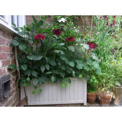Rowlinson Rectangular Wooden Planter
