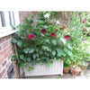 Rowlinson Rectangular Wooden Planter - Garden Planters