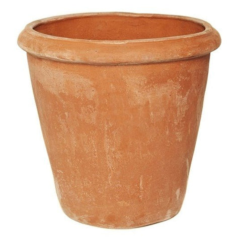 Terracotta Camelia Flower Pot - Heritage Gardens UK Online Garden Centre