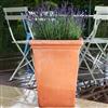 Terracotta Camelia Square Pot