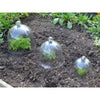 Victorian Glass Bell Jar Cloches - set of 3 - Cloches