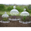 Victorian Glass Bell Jar Cloches - set of 3 - Cloches