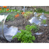 Victorian Glass Bell Jar Cloches - set of 3 - Cloches