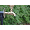 Wren Ornamental Brass Garden Tap - Heritage Gardens UK Online Garden Centre