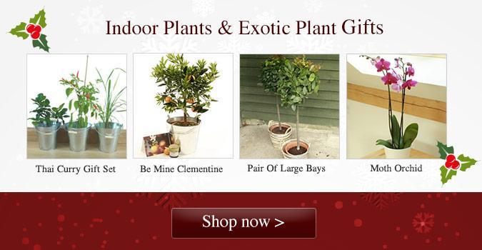 https://www.heritagegardens.co.uk/collections/indoor-plants-exotic-plant-gifts